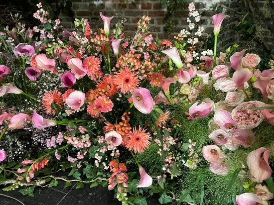 Daily Flowers