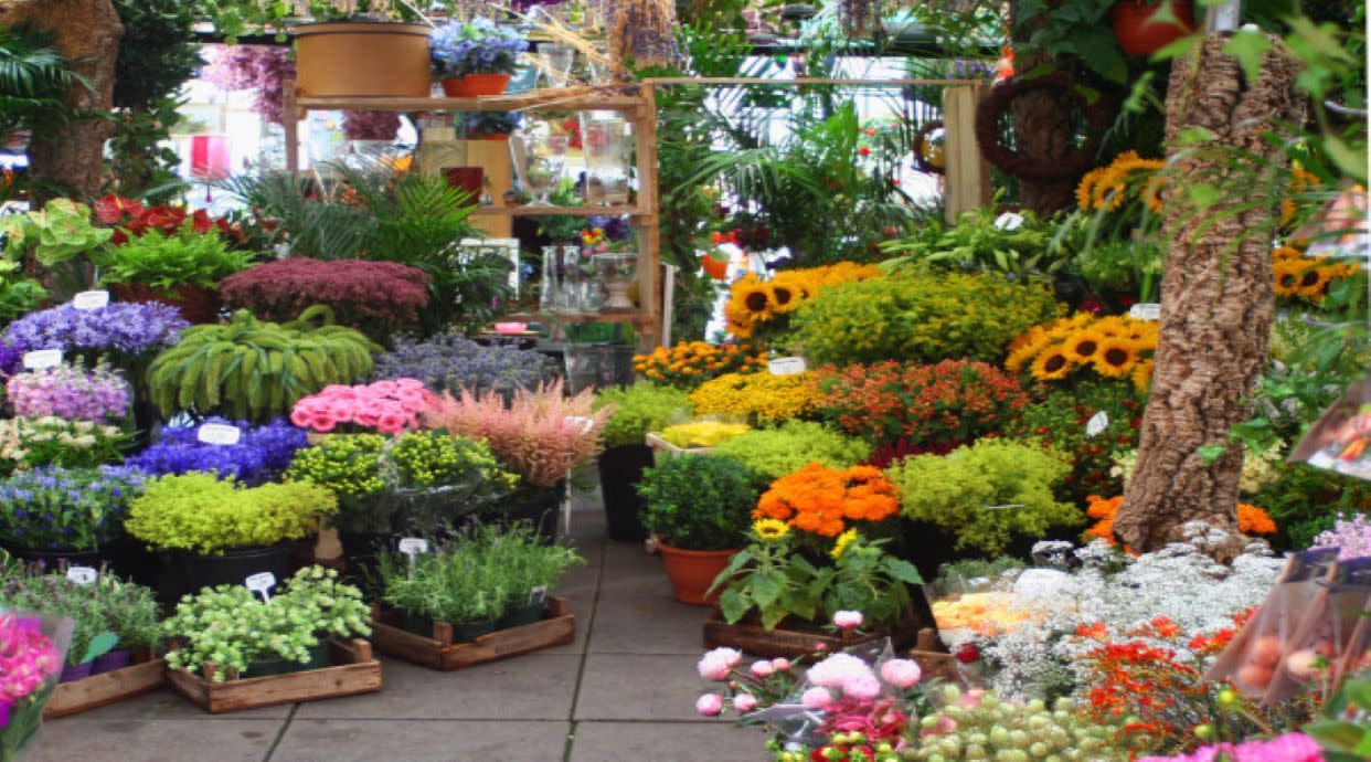 Floristería Nervion Suroeste