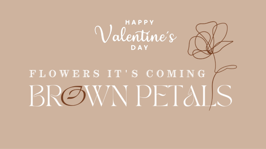 Brown Petals Flowers