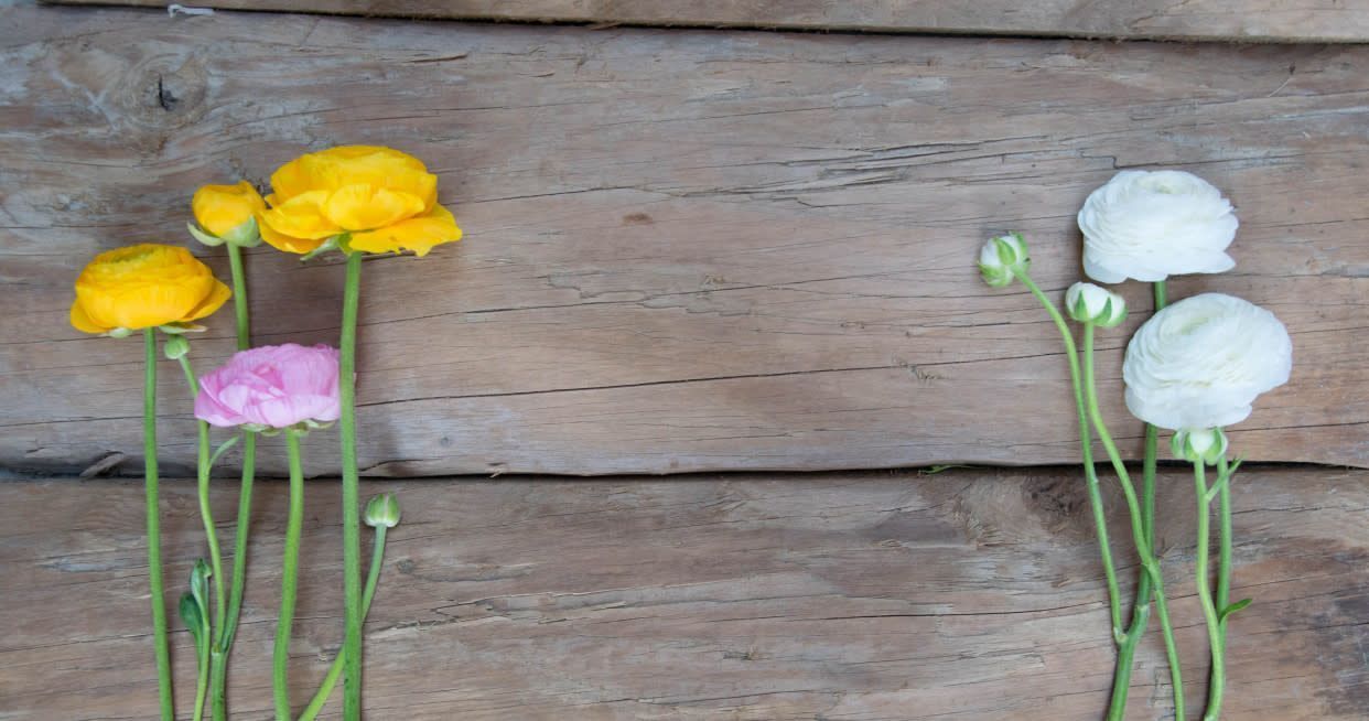 Florista Flowers