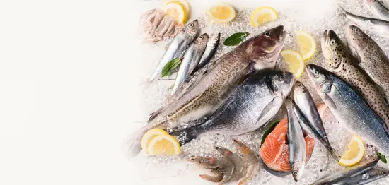 Gastro ribarnica Brač - Kaštela