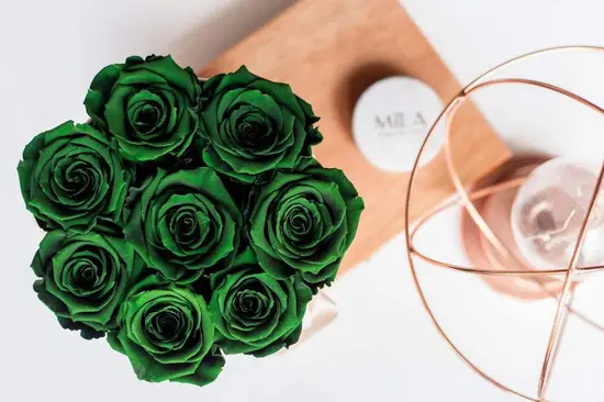 Mila Maison des Roses