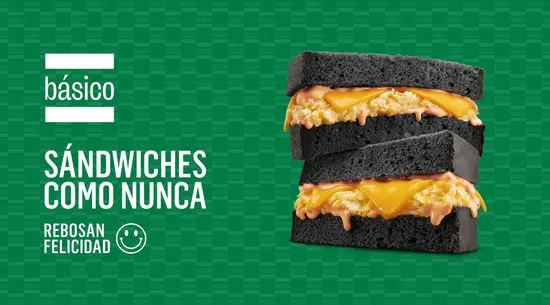 BÁSICO