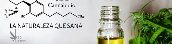 CBD Talavera