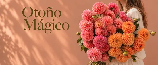 Flores Mowgli