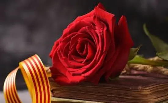 La Rosa de Sant Jordi