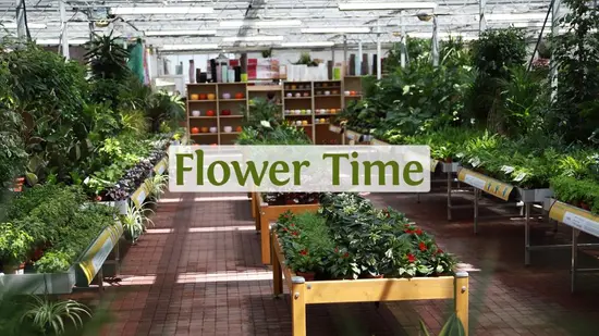 Flower Time