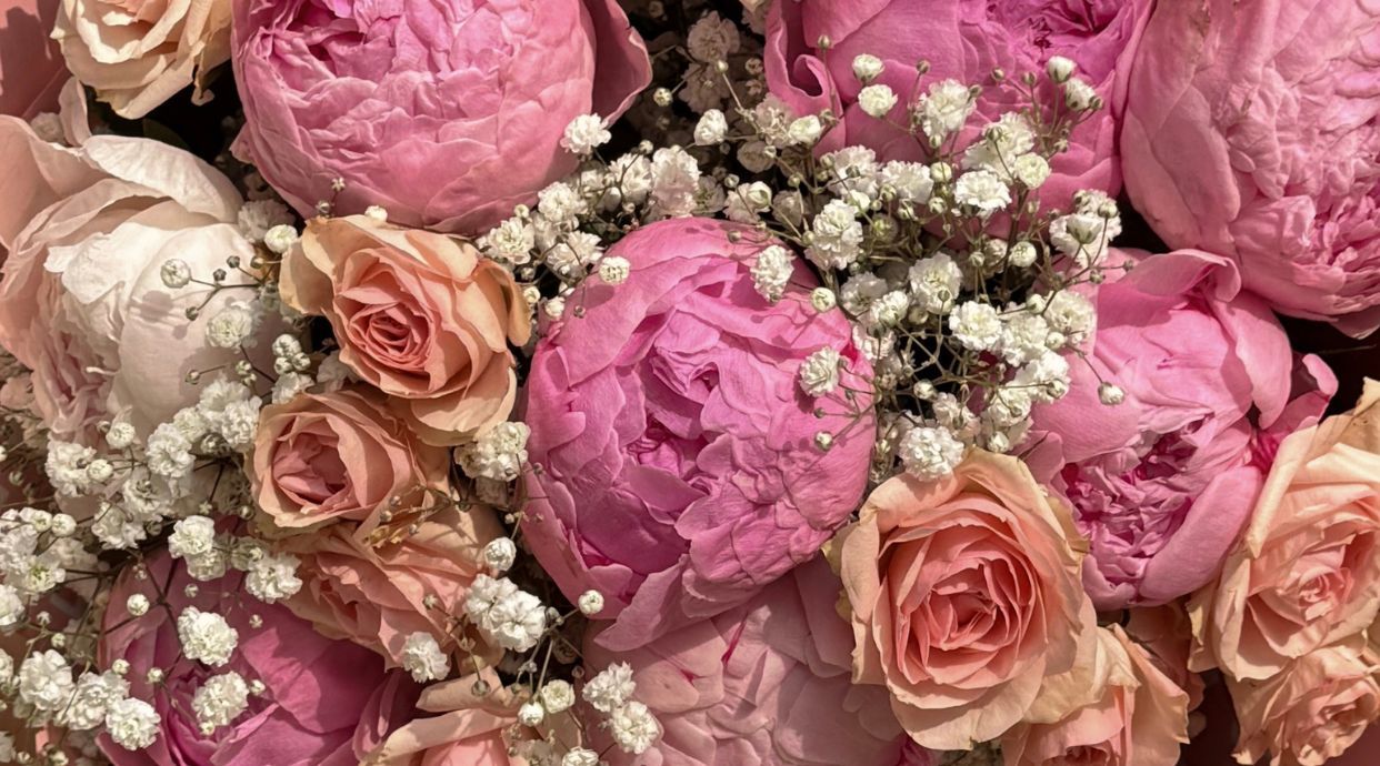 Blossoms & Beyond