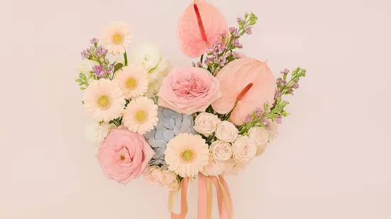 Solo Flowers
