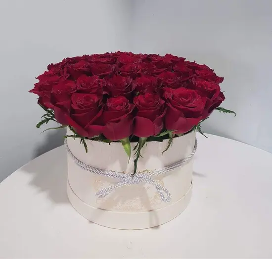 Flowers Shop Freesia