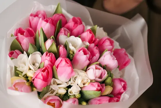 Kwiaciarnia Magnolia