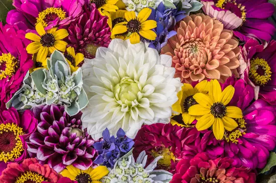 Cvjećara Otoka Bambus