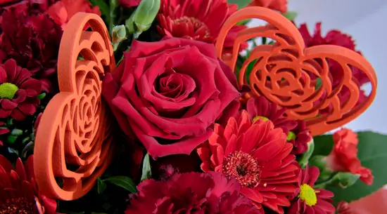 1001Flor Monte dos Burgos