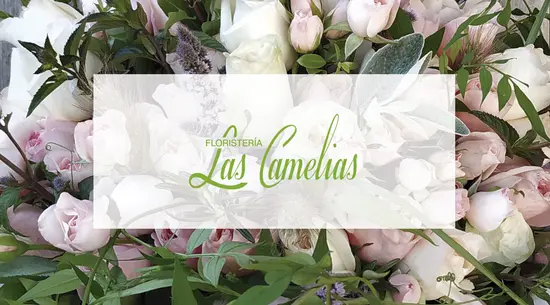 Floristería Las Camelias