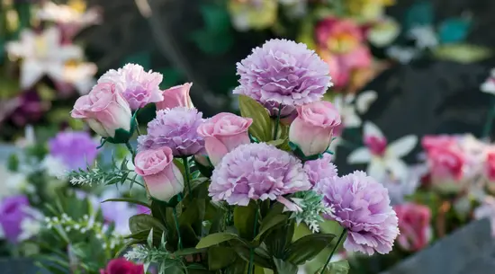 Cisneros Floristería