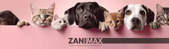 Zanimax