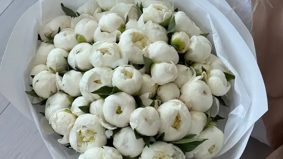 Miracle Flowers