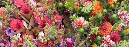 Alvi Flora