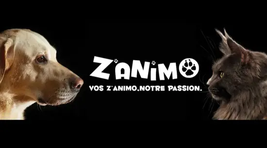Zanimo