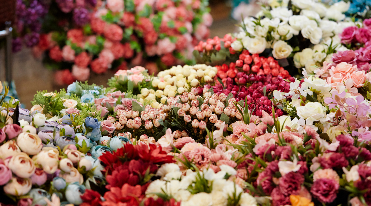 Fleurs Meknès Anassim