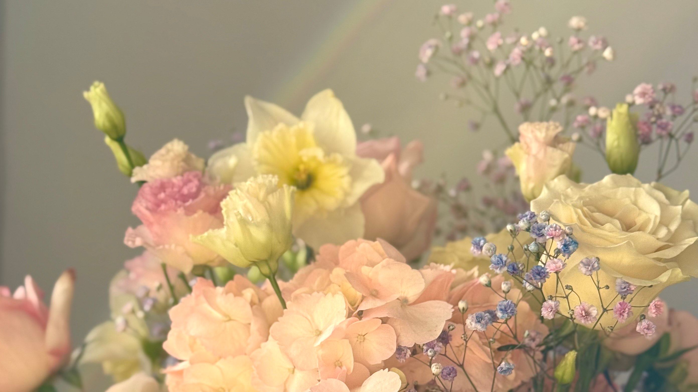 Roses & More