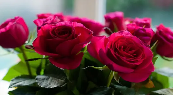 Fiori Flower Pot di Giorgia Manasse