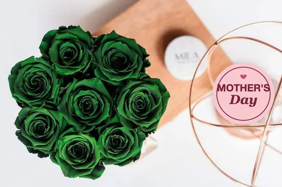 Mila Maison des Roses