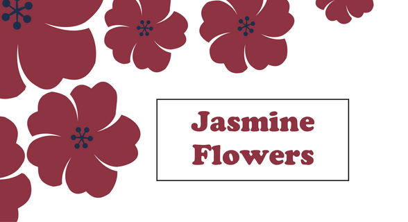 Jasmine Flowers