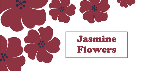 Jasmine Flowers
