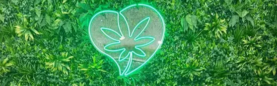 Family Hemp - CBD Shop