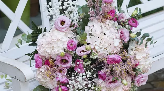 Flores F. Feliú