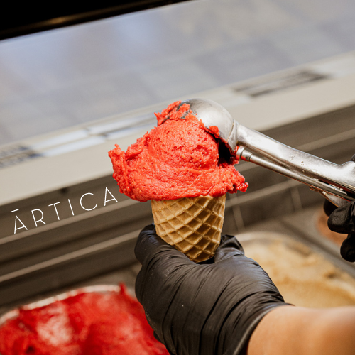 Àrtica - Gelats Artesans