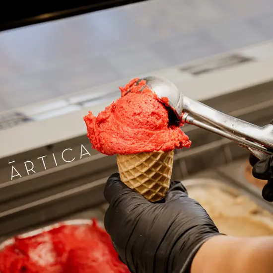 Àrtica - Gelats Artesans