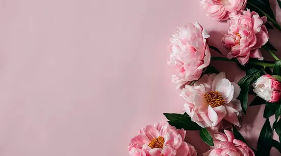 Floristería Gessamí