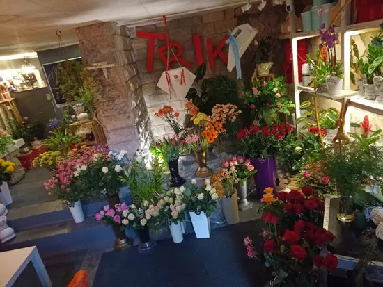 Kwiaciarnia TrikEvent