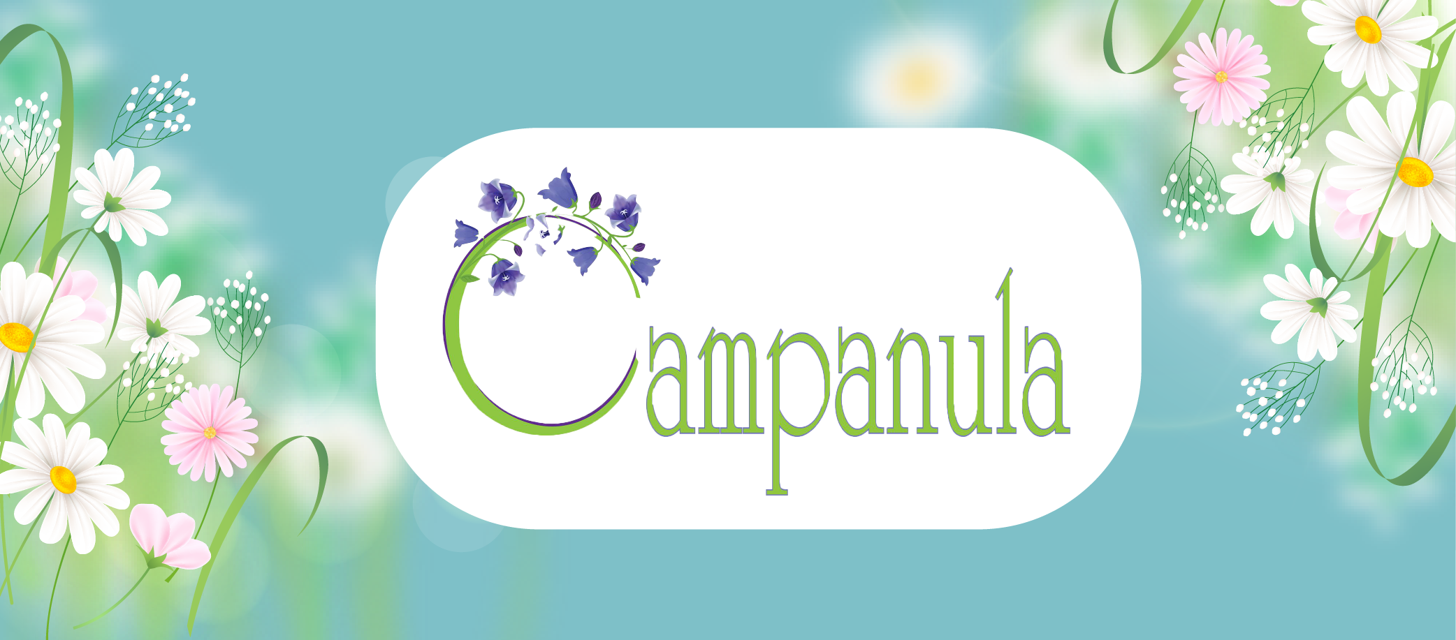 Campanula