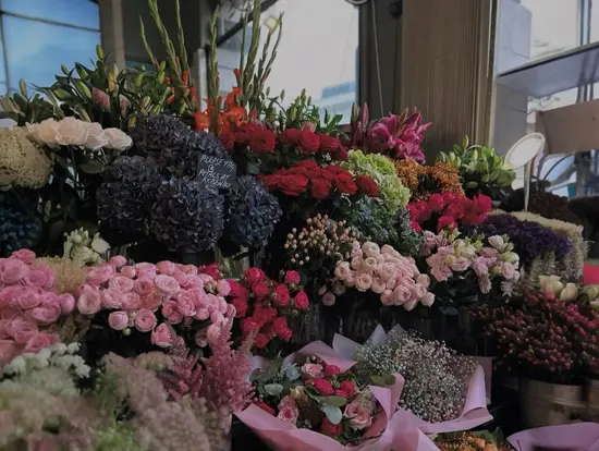 La Rose De Fes by Maganda