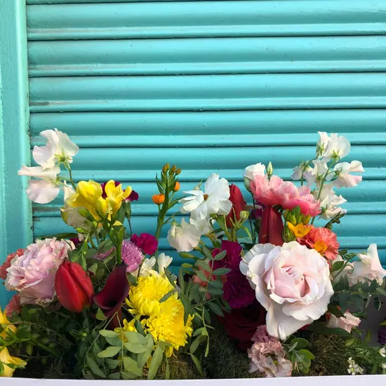 Adhoc Flores