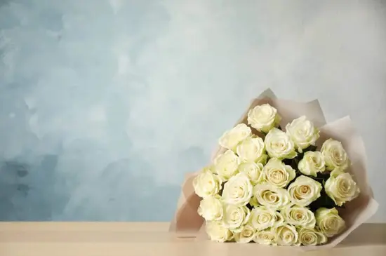 Holland Flower Concept