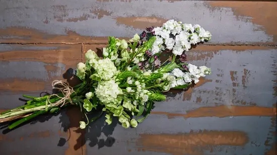 Flowers & Gift shop Alpinija