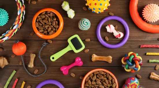 Konik Polny - sklep zoologiczny