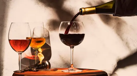 Terroir BioWines & Spirits