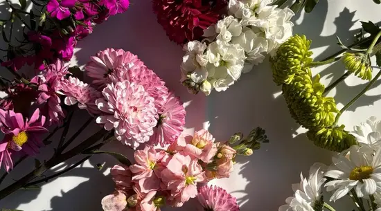 Flower Shop Lovender