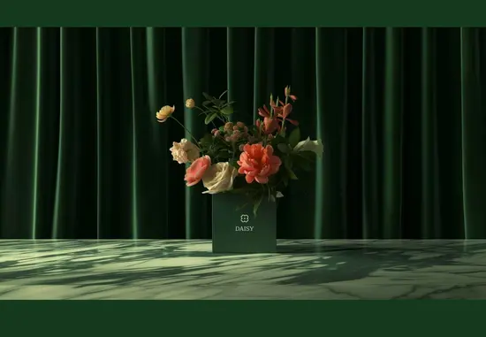 Daisy Flowers & More