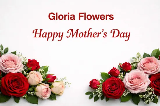 Gloria Flowers & Gifts