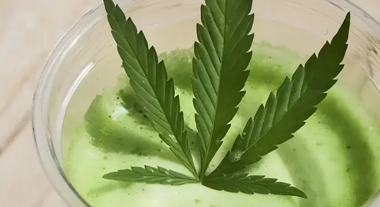 CBD LOVER - ВІДНАЙДИ СПОКІЙ