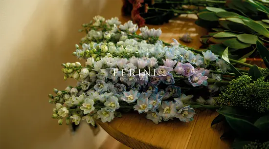 Ferini Estudio Floral