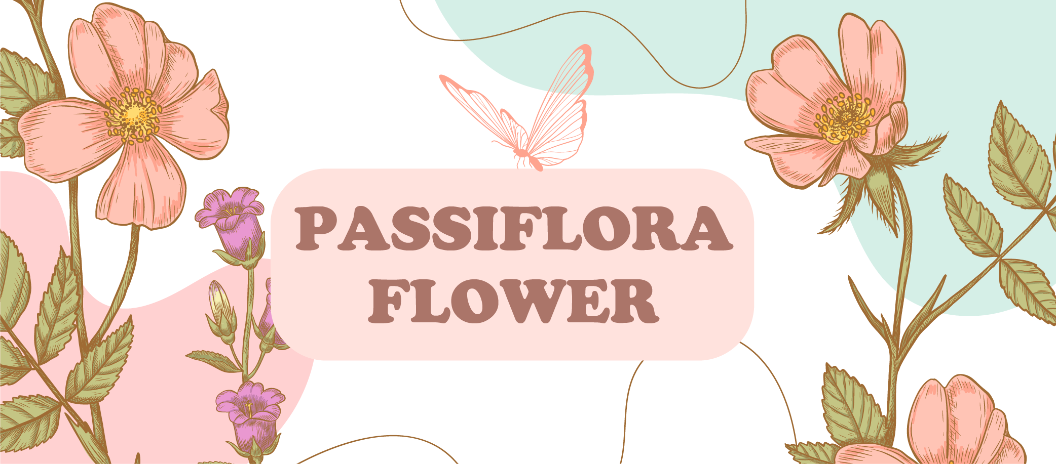 Pasiflora