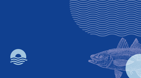 Магазин Океан