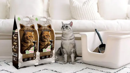 Котешка тоалетна от кафе